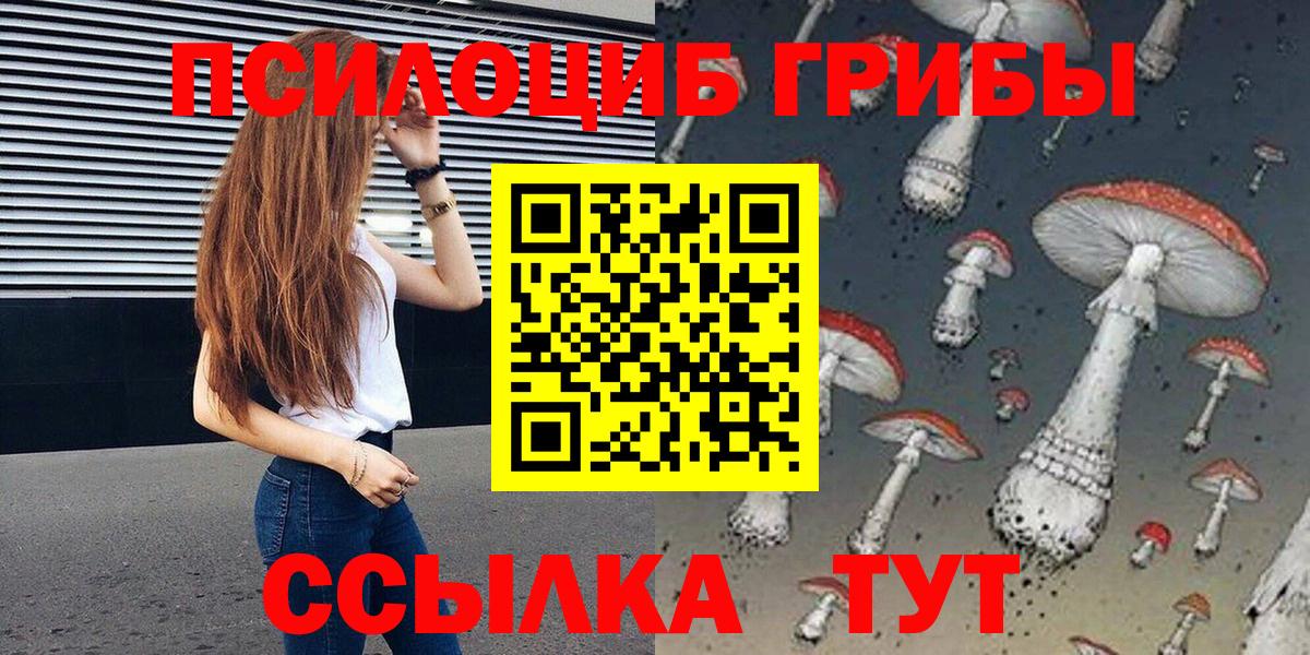 Галлюциногенные грибы Cubensis Дубна