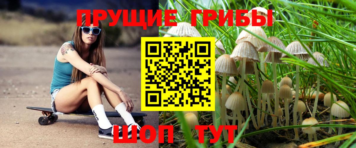 Дубна  Псилоцибиновые грибы MAGIC MUSHROOMS  Вход с VPN 